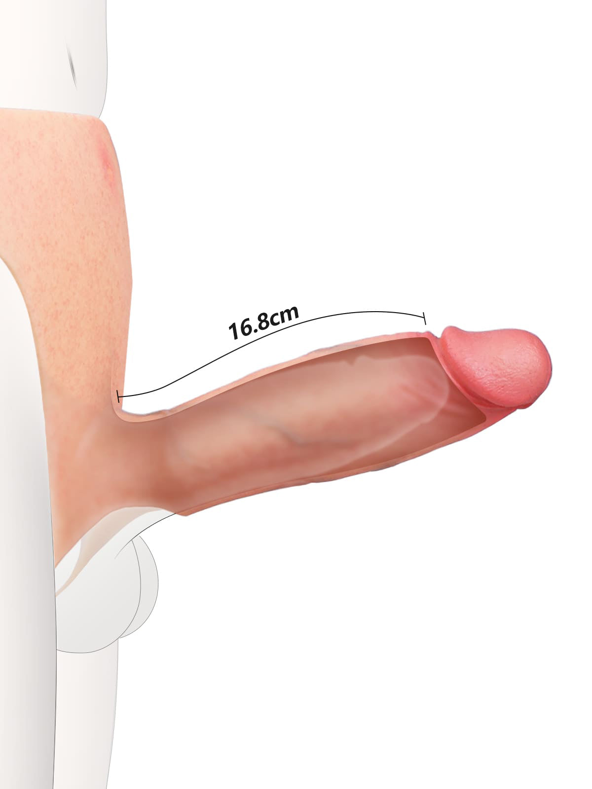 Daenerys - Dildo Indossabile Cavo con Estensione Pene e Manicotto per Disfunzione Erettile - 20 cm
