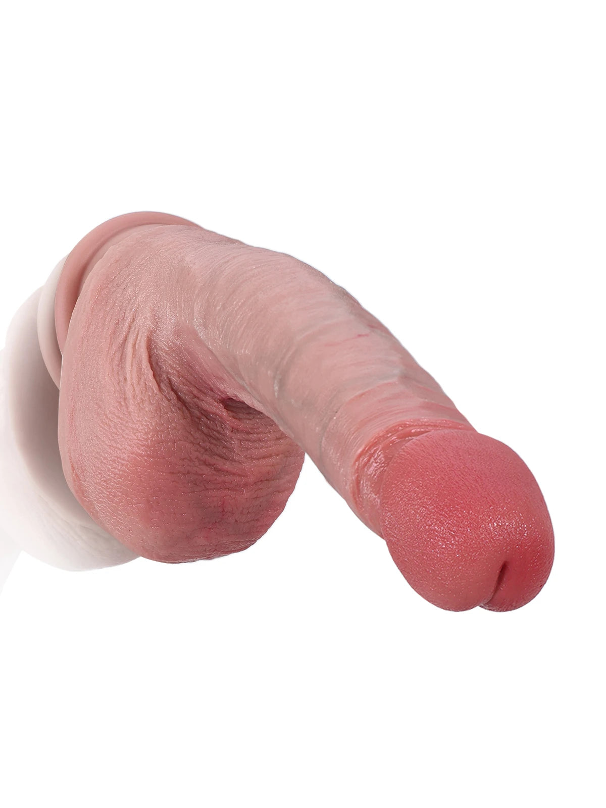 Robert - Dildo Realistico con Gland Grande e Sensazione Reale - 22,2 cm